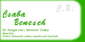 csaba benesch business card